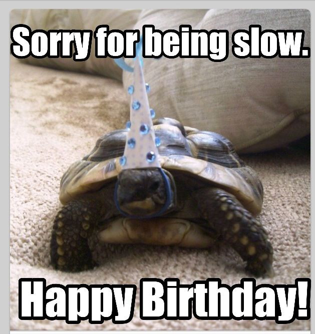 Best Funny Belated Birthday Memes from Late birthday. 