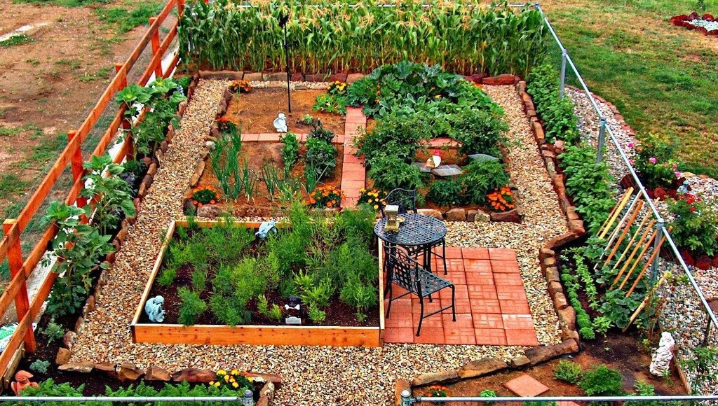 Best ideas about Home Vegetable Garden Ideas
. Save or Pin 24 Fantastic Backyard Ve able Garden Ideas Now.