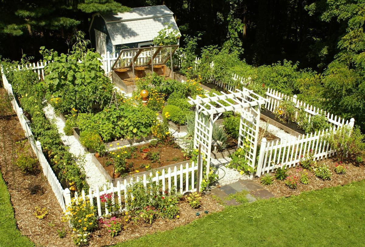 Best ideas about Home Vegetable Garden Ideas
. Save or Pin 20 Impressive ve able garden designs and plans Now.