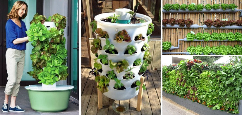 Best ideas about Home Vegetable Garden Ideas
. Save or Pin 20 Vertical Ve able Garden Ideas Now.