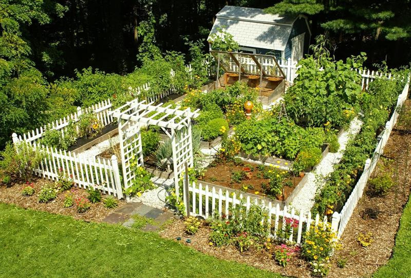 Best ideas about Home Vegetable Garden Ideas
. Save or Pin 24 Awesome Ideas for Backyard Ve able Gardens Now.