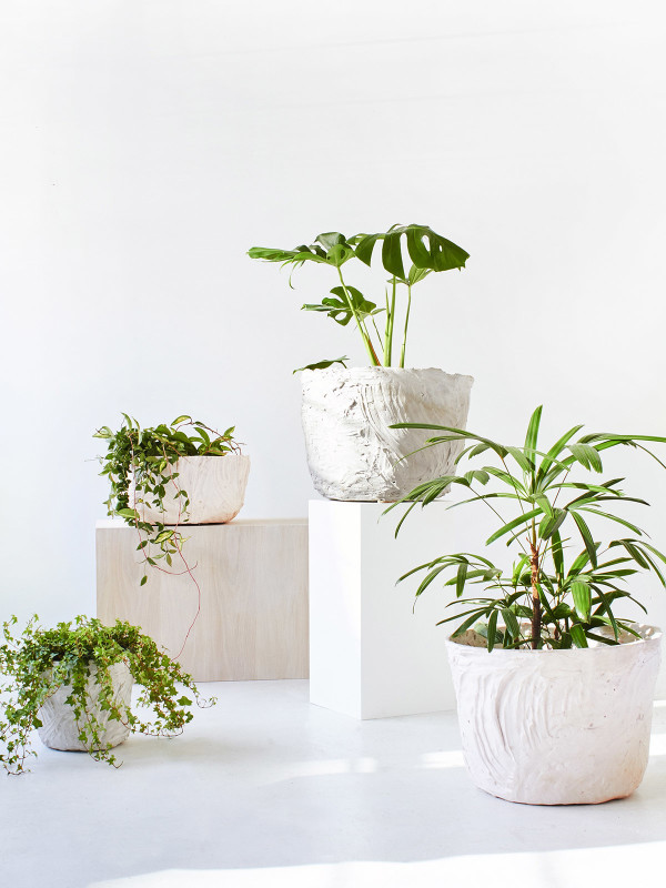 Best ideas about Indoor Ceramic Planters
. Save or Pin Planters inspiring ceramic planter Ceramic Planters Now.