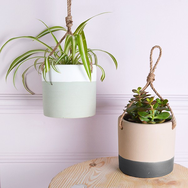 Best ideas about Indoor Ceramic Planters
. Save or Pin Planters inspiring indoor ceramic planters Indoor Planter Now.