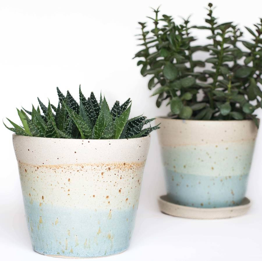 Best ideas about Indoor Ceramic Planters
. Save or Pin Planters inspiring indoor ceramic planters Indoor Plant Now.