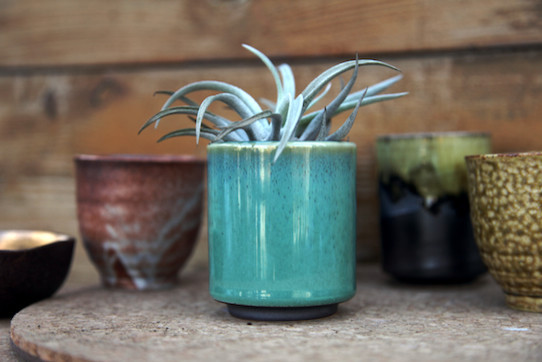 Best ideas about Indoor Ceramic Planters
. Save or Pin Ceramic Iced Teal Cup Mini Planter Eclectic Indoor Now.