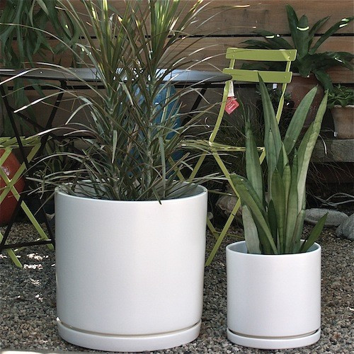 Best ideas about Indoor Ceramic Planters
. Save or Pin Gainey Cylinder Ceramic Pots Modern Indoor Pots And Now.