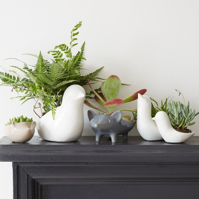 Best ideas about Indoor Ceramic Planters
. Save or Pin Ceramic Animal Planters Contemporary Indoor Pots And Now.