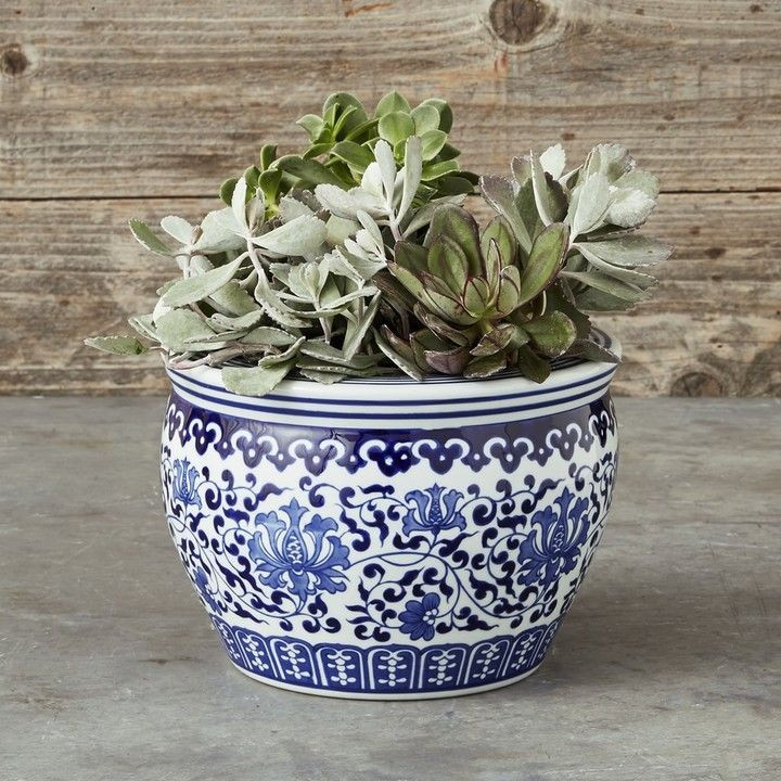 Best ideas about Indoor Ceramic Planters
. Save or Pin Williams Sonoma Blue & White Ceramic Planter Small plant Now.