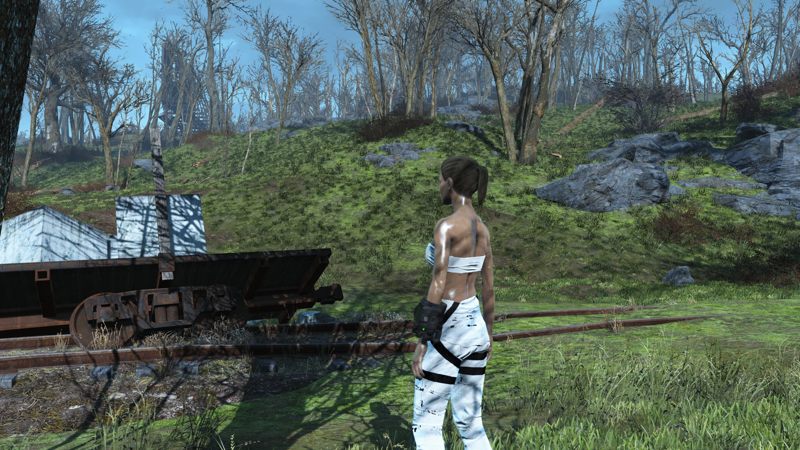 Best ideas about Landscape Fixes For Grass Mods
. Save or Pin A White Harness Dress Fallout 4 Mod Cheat Now.