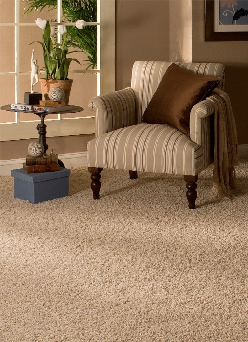 Best ideas about Living Room Carpet
. Save or Pin Home Selling Tips Carpet Replacement Gets You More Money Now.