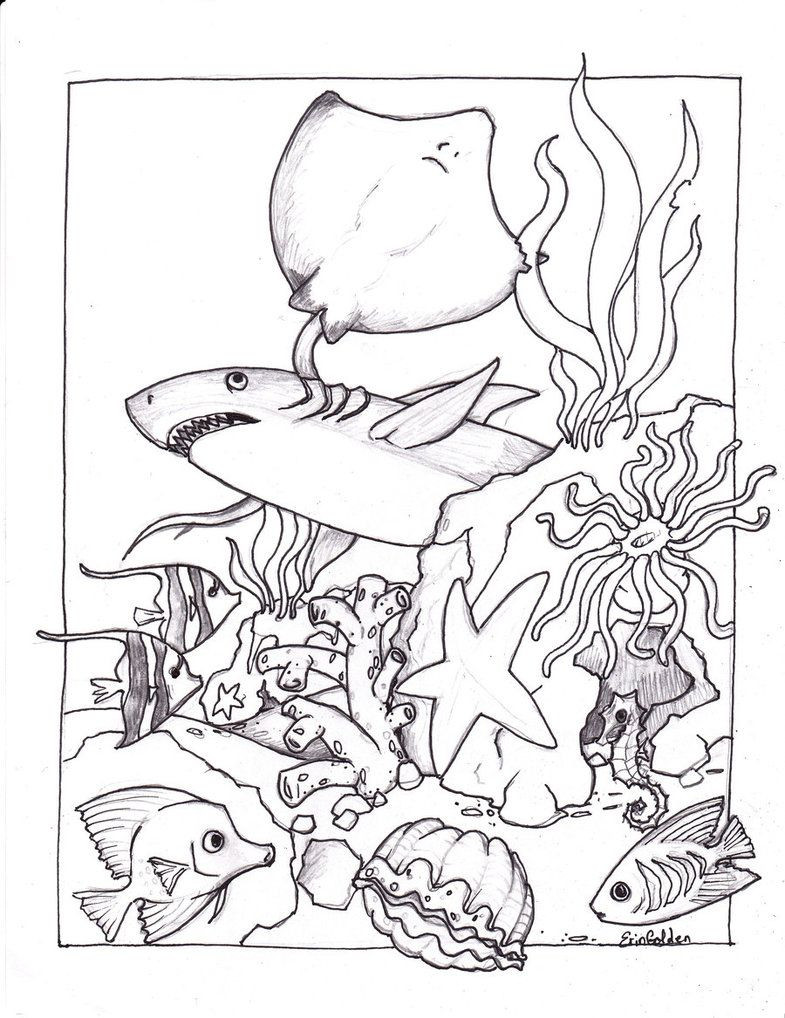 Best ideas about Marine Life Coloring Sheets For Kids
. Save or Pin Underwater Coloring Pages Coloring Home Now.