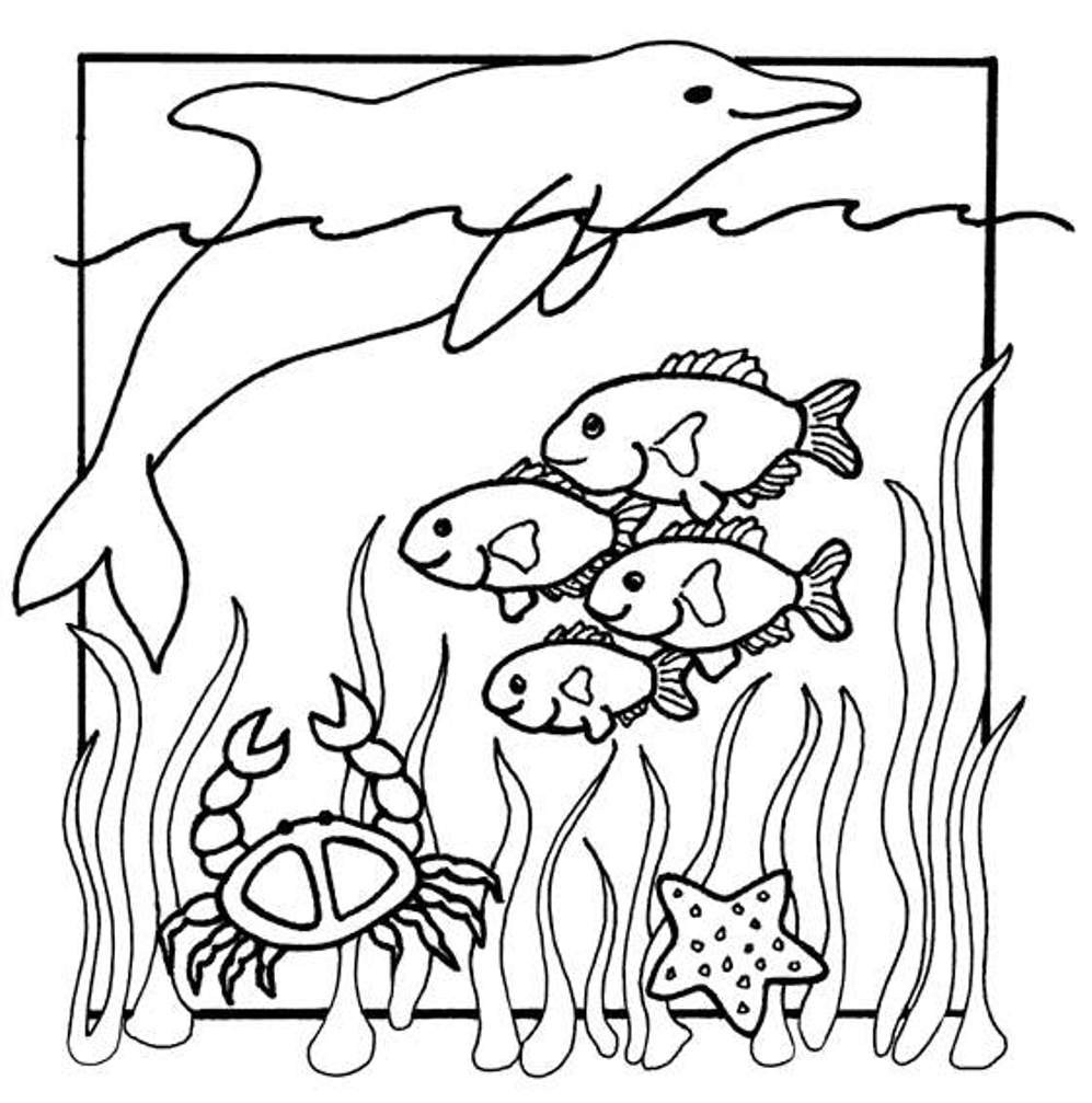 Best ideas about Marine Life Coloring Sheets For Kids
. Save or Pin Kids Coloring Pages Sea Animals Now.
