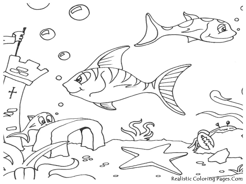 Best ideas about Marine Life Coloring Sheets For Kids
. Save or Pin Ocean Fish Coloring Pages Now.