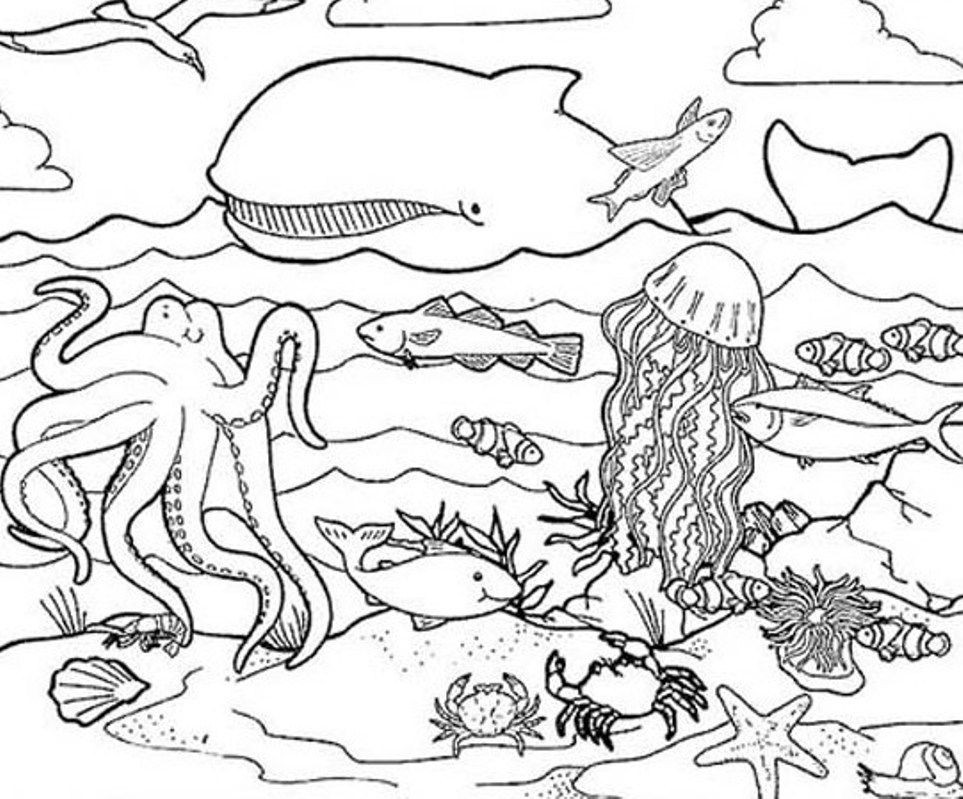 Best ideas about Marine Life Coloring Sheets For Kids
. Save or Pin Sea Life Coloring Page Coloring Home Now.