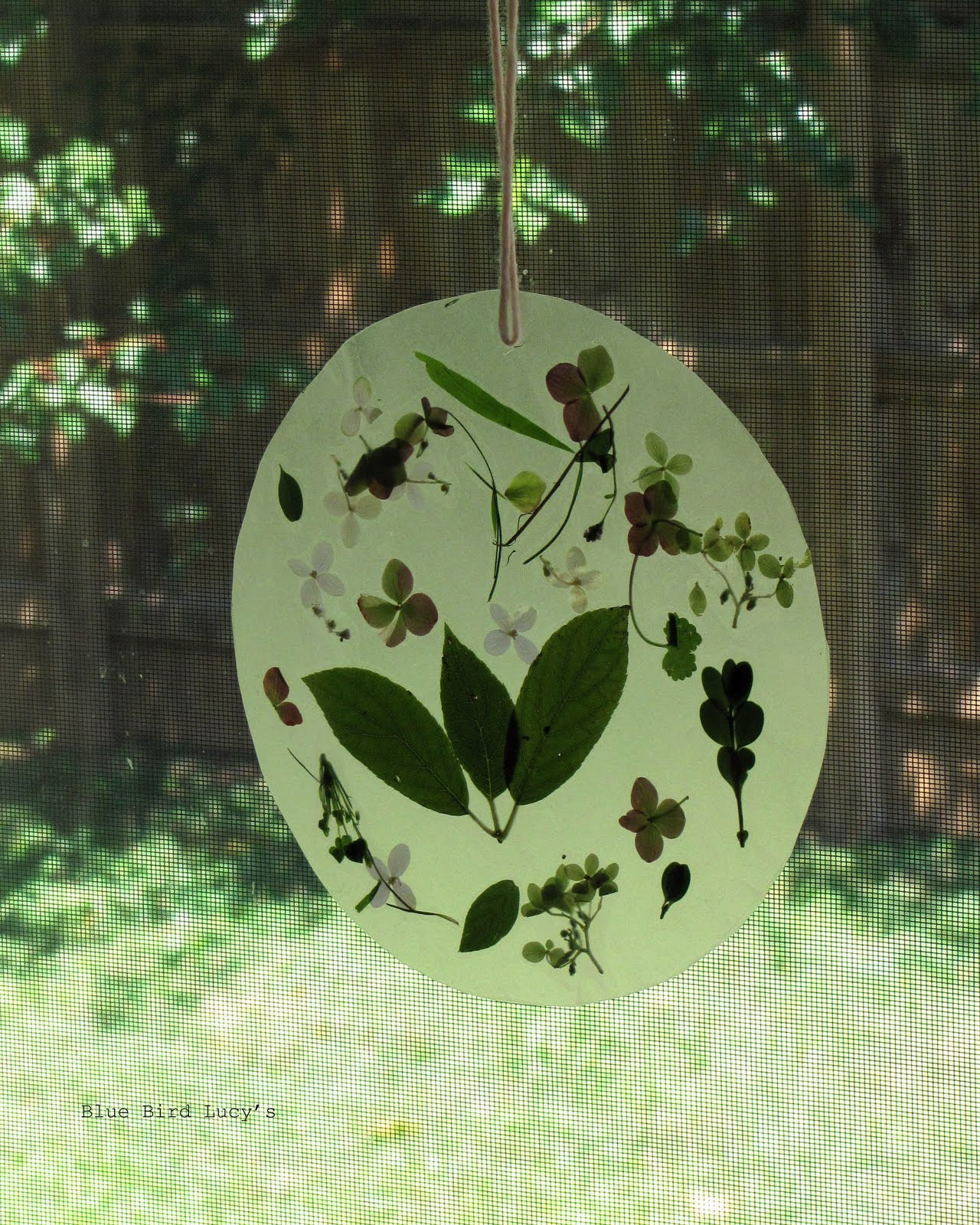 Best ideas about Nature Activities For Adults
. Save or Pin Blue Bird Lucy s Kids Craft Nature Filled Sun Catcher Now.