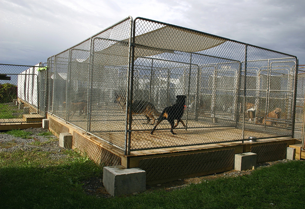 Best ideas about Outdoor Dog Runs
. Save or Pin Dog Boarding Manoir Kanisha Now.