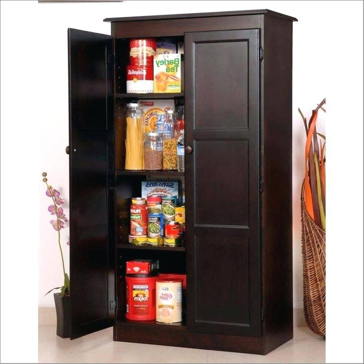 Best ideas about Pantry Cabinet Walmart
. Save or Pin Kitchen Pantry Cabinet Walmart Food Pantry Cabinet In Now.