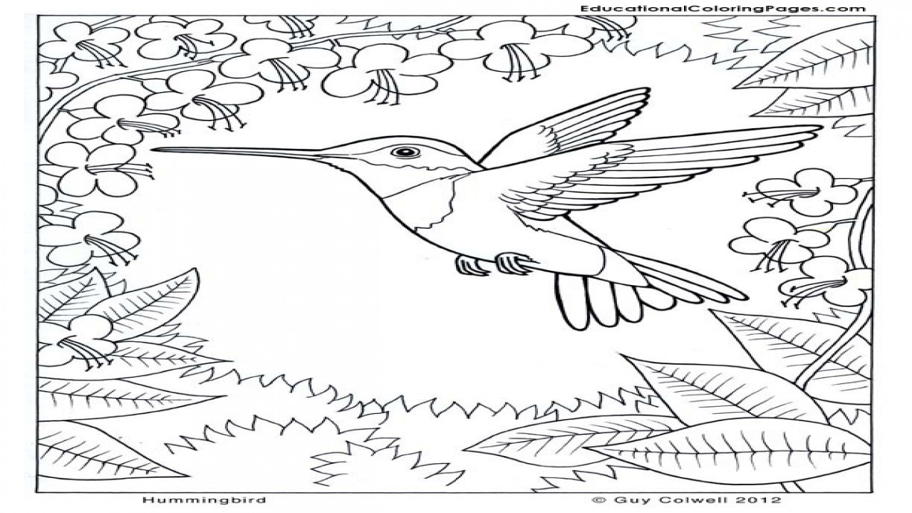 Best ideas about Preschool Coloring Sheets Hummomg Bird
. Save or Pin Nature Coloring Pages Tags Flower Hummingbird grig3 Now.