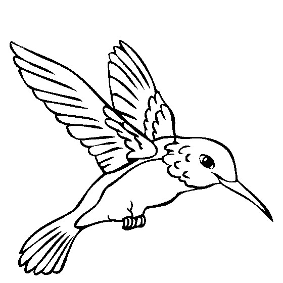 Best ideas about Preschool Coloring Sheets Hummomg Bird
. Save or Pin color book humming birds Now.