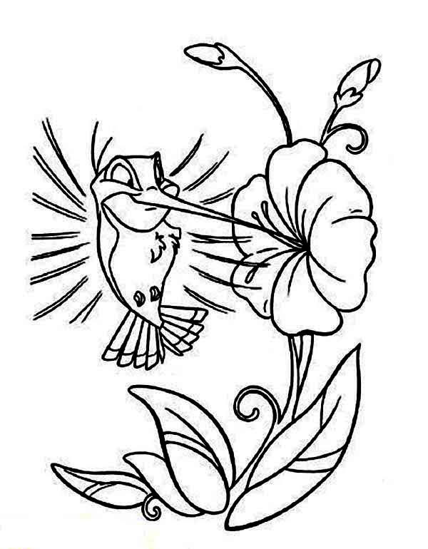 Best ideas about Preschool Coloring Sheets Hummomg Bird
. Save or Pin Pin by Suzie on Coloring pages for children Now.