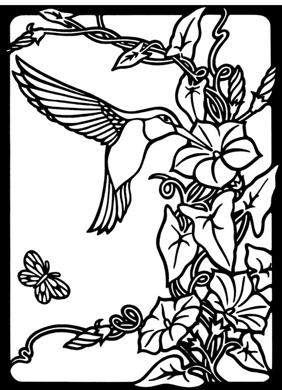 Best ideas about Preschool Coloring Sheets Hummomg Bird
. Save or Pin Hummingbird coloring pages for adults Now.