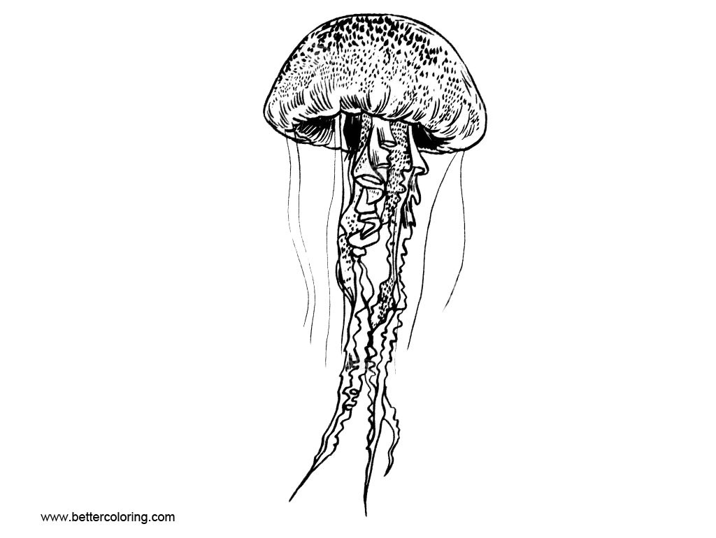 Best ideas about Printable Jellyfish Coloring Pages For Girls
. Save or Pin Jellyfish Coloring Pages Line Drawing Free Printable Now.
