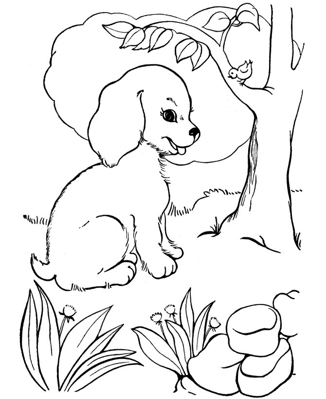 Best ideas about Puppy Coloring Sheets For Girls
. Save or Pin Puppy Coloring Pages For Girls Coloring Home Now.