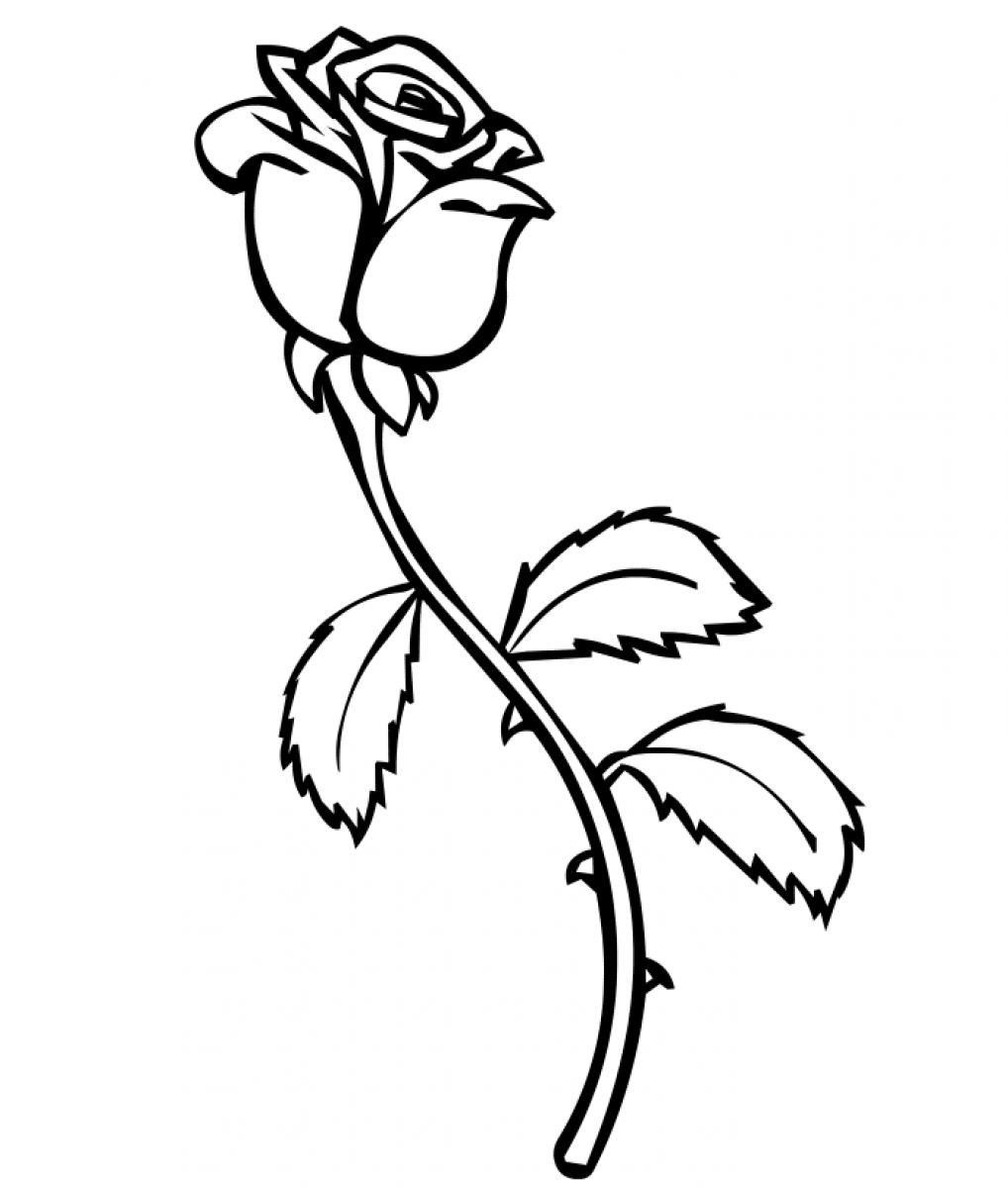 Best ideas about Salice Rose Coloring Sheets For Kids
. Save or Pin Free Printable Roses Coloring Pages For Kids Now.