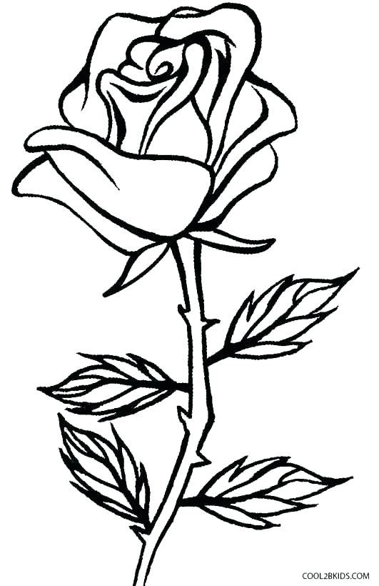 Best ideas about Salice Rose Coloring Sheets For Kids
. Save or Pin Rose Bouquet Coloring Pages Rose Bouquet For Wife Coloring Now.