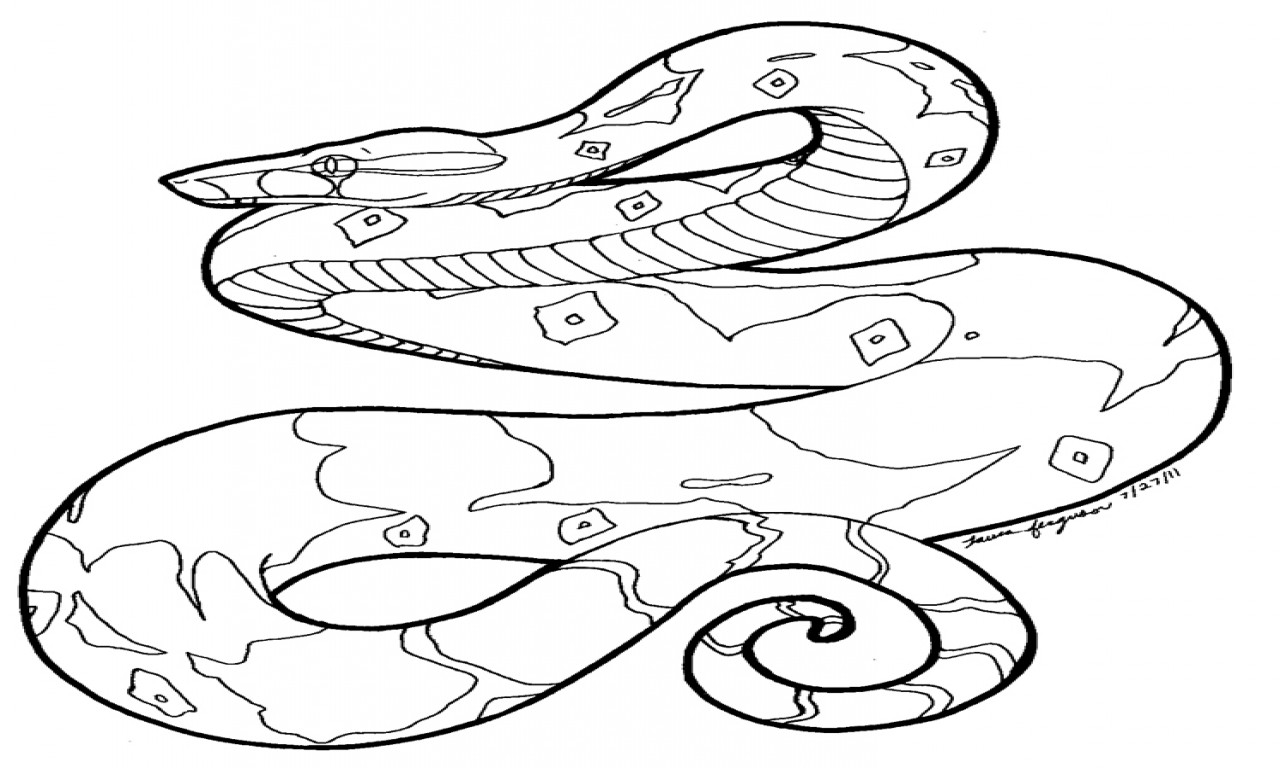 Best ideas about Snake Coloring Pages For Adults
. Save or Pin Snake Coloring Pages Hard Snakes grig3 Now.