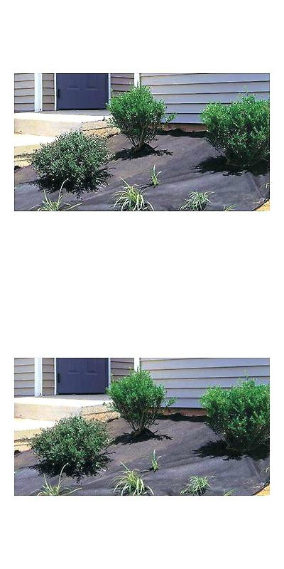 Best ideas about Sunbelt Landscape Fabric
. Save or Pin Dewitt Landscaping Fabric Sunbelt Oz 6 X Roll Ground Cover Now.