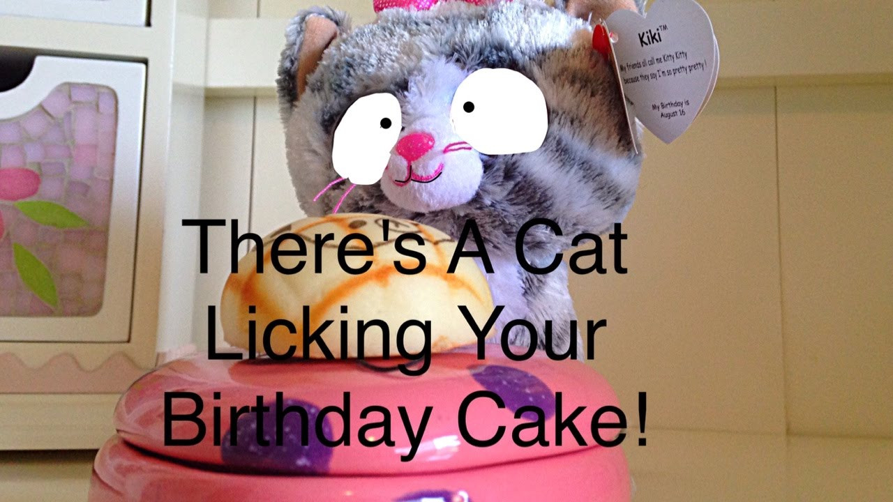 Best ideas about There's A Cat Licking Your Birthday Cake
. Save or Pin Beanie Boos There s A Cat Licking Your Birthday Cake MV Now.