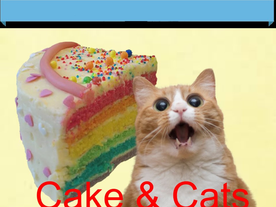 Best ideas about There's A Cat Licking Your Birthday Cake
. Save or Pin There s a Cat licking your Birthday Cake l Video Star Now.