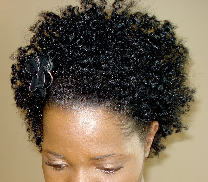 Best ideas about Transition To Natural Hairstyles
. Save or Pin Transition To Natural Hair Without Big Chop Now.