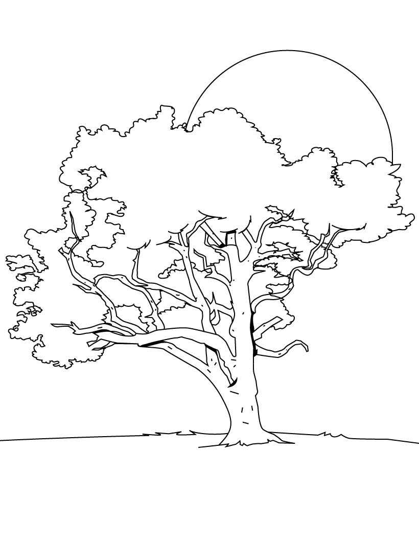 Best ideas about Tree Coloring Pages For Kids
. Save or Pin Free Printable Tree Coloring Pages For Kids Now.