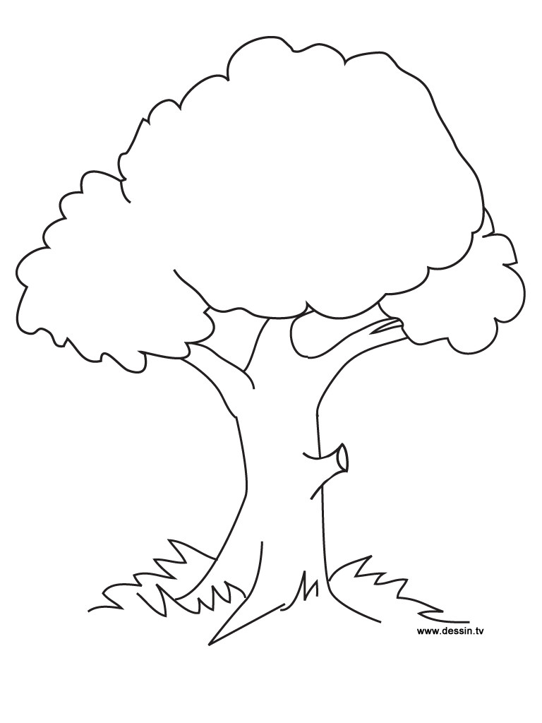 Best ideas about Tree Coloring Pages For Kids
. Save or Pin Free Printable Tree Coloring Pages For Kids Now.