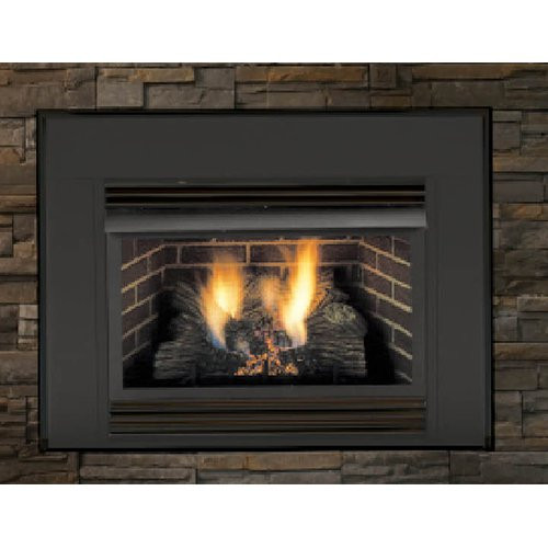 Best ideas about Vent Free Gas Fireplace Insert
. Save or Pin Majestic Vent Free Gas Fireplace Insert at Hayneedle Now.