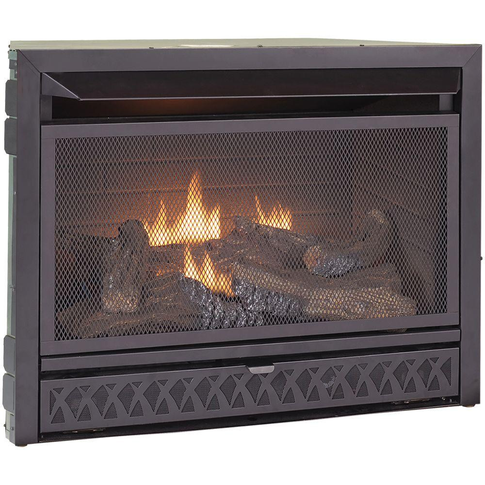 Best ideas about Vent Free Gas Fireplace Insert
. Save or Pin Pro Gas Fireplace Insert Duel Fuel Technology – 26 000 Now.