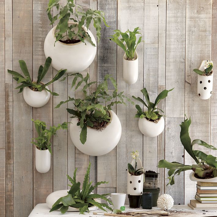 Best ideas about Wall Mounted Planters Indoor
. Save or Pin Wall Mounted Planter Indoor Now.