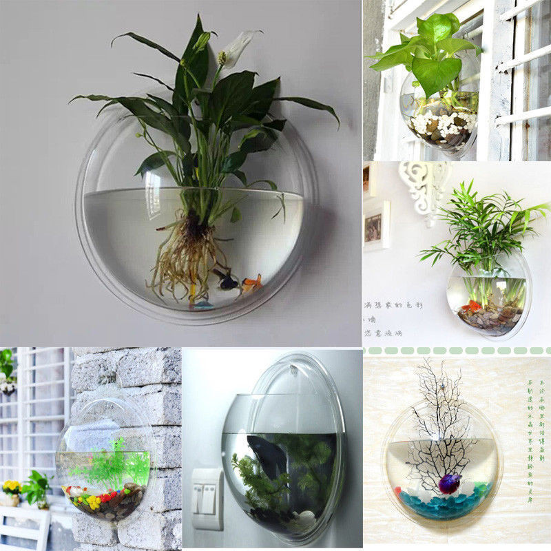 Best ideas about Wall Mounted Planters Indoor
. Save or Pin INDOOR OUTDOOR WALL MOUNTED PLASTIC PLANT POT RARE MODERN Now.