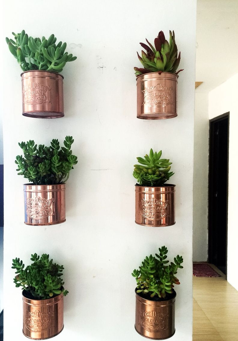 Best ideas about Wall Mounted Planters Indoor
. Save or Pin Diy ice cream tin can wall planters Now.