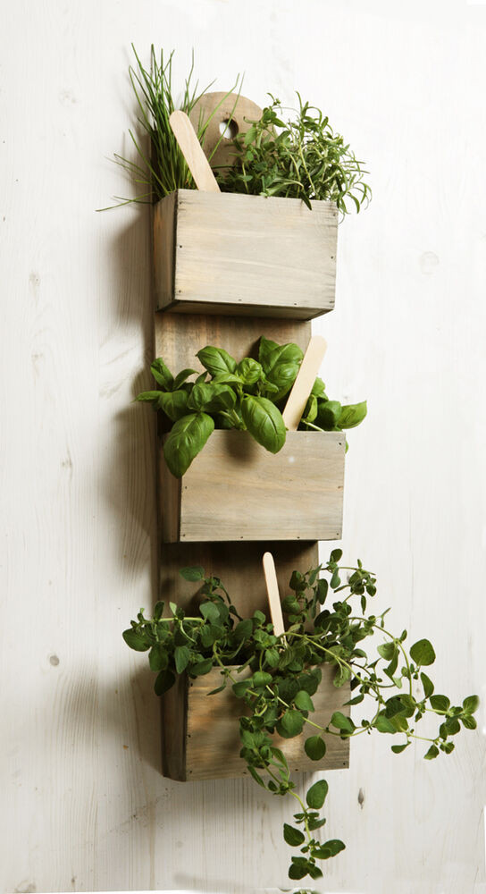 Best ideas about Wall Mounted Planters Indoor
. Save or Pin Wall Mounted Wooden Kitchen Herb Planter Kit with Seeds Now.