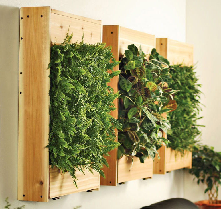 Best ideas about Wall Mounted Planters Indoor
. Save or Pin Indoor Living Wall Planters The Green Head Now.