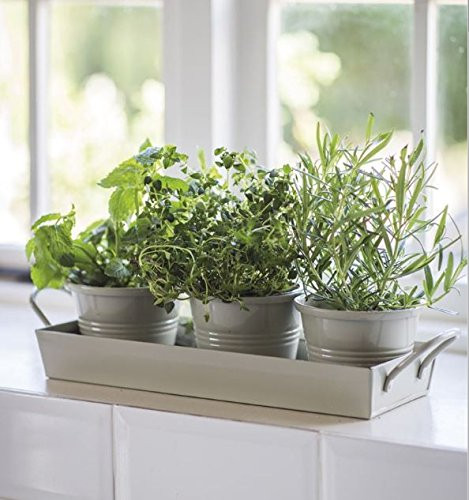 Best ideas about Window Sill Planter Indoor
. Save or Pin Kitchen Herb Pots Wooden Planter Window Sill Garden Plant Now.