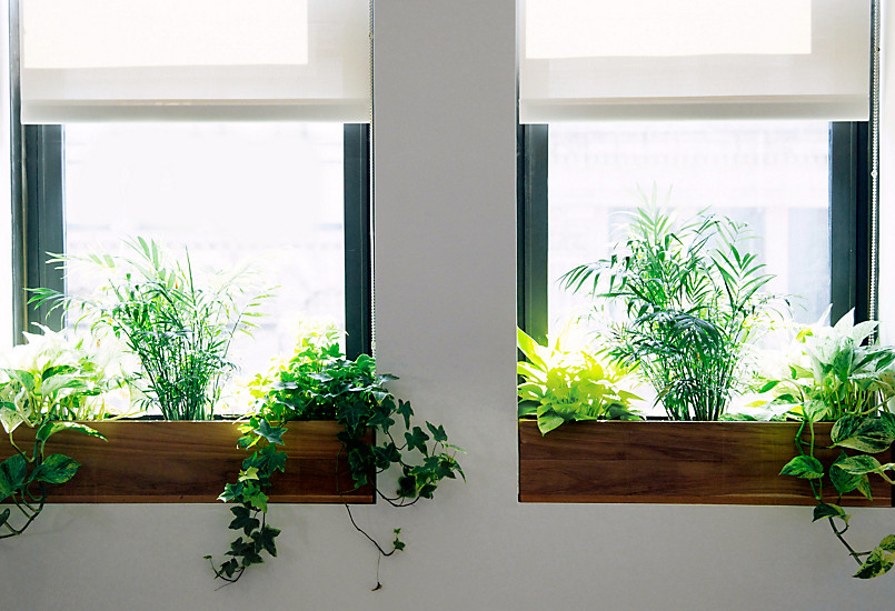 Best ideas about Window Sill Planter Indoor
. Save or Pin The Sill Terrain Planting a Window Box Now.