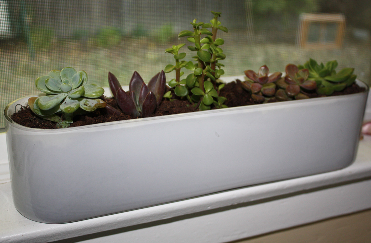 Best ideas about Window Sill Planter Indoor
. Save or Pin A Windowsill Garden Now.