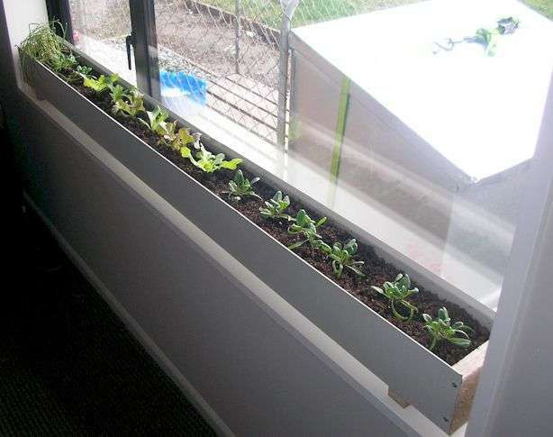 Best ideas about Window Sill Planter Indoor
. Save or Pin Best 25 Indoor window boxes ideas on Pinterest Now.