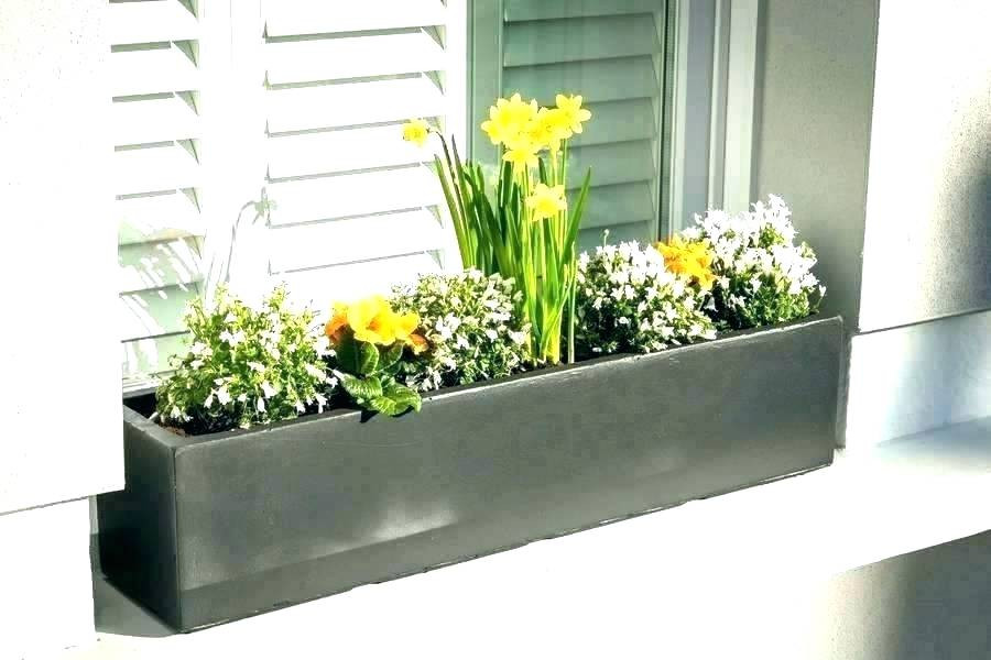 Best ideas about Window Sill Planter Indoor
. Save or Pin Indoor Window Garden Box Garden Designs Now.