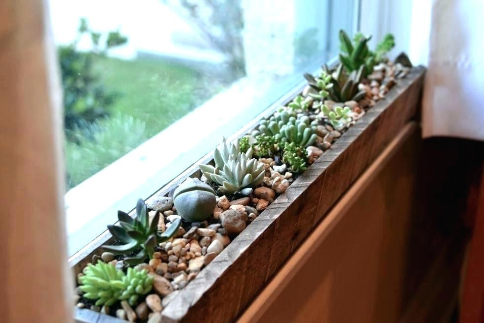 Best ideas about Window Sill Planter Indoor
. Save or Pin Window Sill Flower Box Amazing Boxes Diy Power Tool Now.