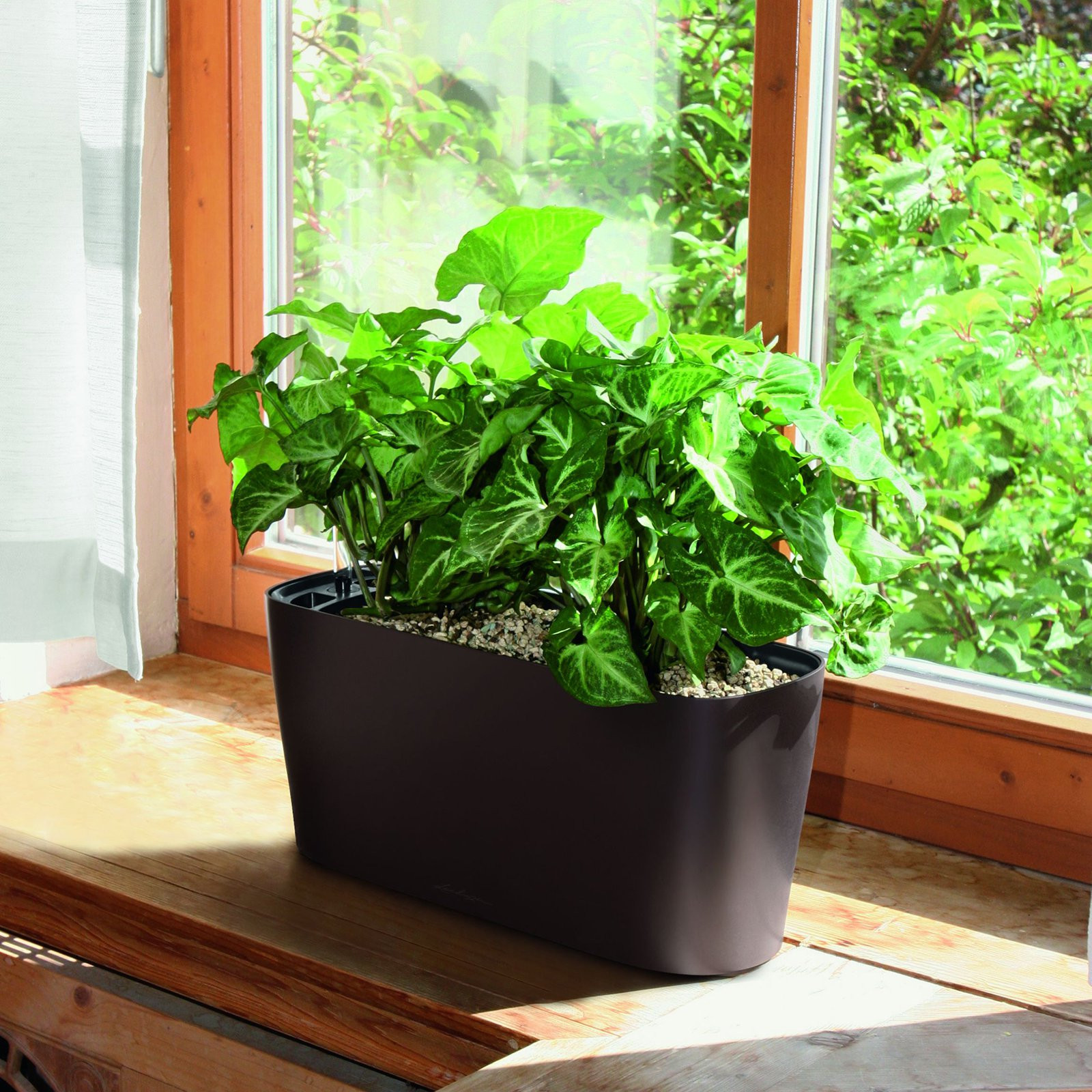 Best ideas about Window Sill Planter Indoor
. Save or Pin windowsill planter indoor lechuza windowsill self watering Now.